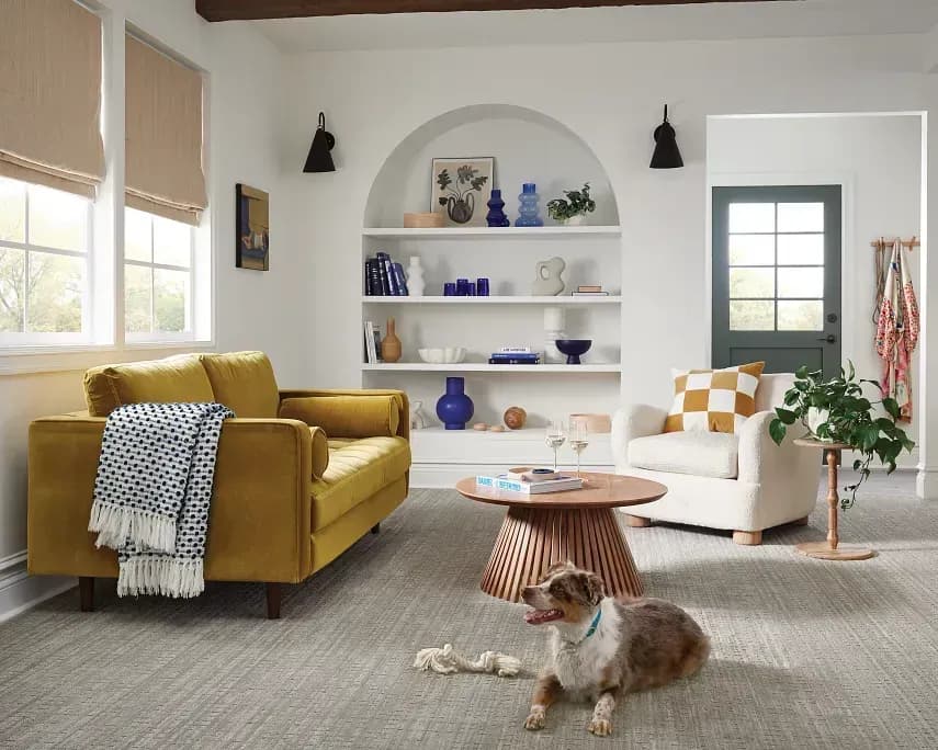 Bright living room with a yellow sofa, textured armchair, and wooden coffee table. Dog lying on the carpet. Shelves hold vases and books, adding color.